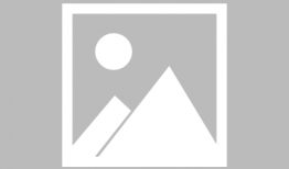 割包皮视频,专业视频解析